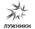 БСА Лужники